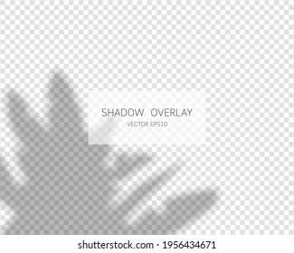 Efecto de superposición de sombra. Sombras naturales aisladas en un fondo transparente. Ilustración vectorial. 