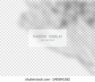 Shadow overlay effect. Natural shadows isolated on transparent background. Vector illustration. 