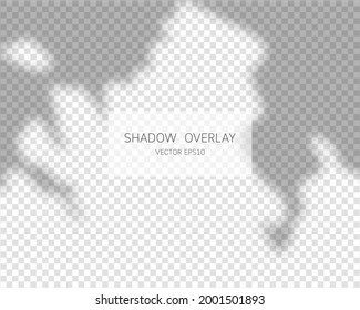 Shadow overlay effect. Natural shadows isolated on transparent background. Vector illustration. 