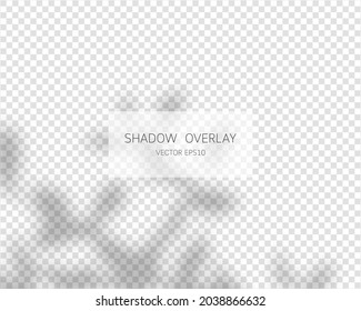 Shadow overlay effect. Natural shadows isolated on transparent background. Vector illustration. 