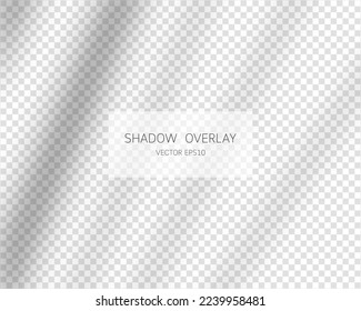 Shadow overlay effect. Natural shadows from window isolated on transparent background. Vector illustration. 
