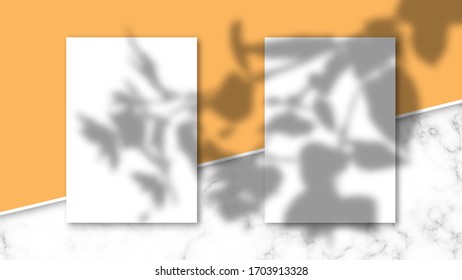 Shadow overlay effect on A4 paper mockup. Transparent light and shadows from leaves and foliage. Scene mockup of transparent shadow overlay effect and natural lightning. Vector