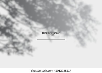 Efecto de superposición de sombra sobre la parodia de fondo gris 