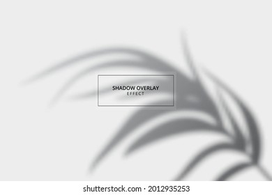 Shadow overlay effect on gray background mockup 