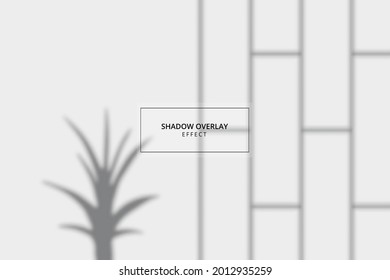 Efecto de superposición de sombra sobre la parodia de fondo gris 