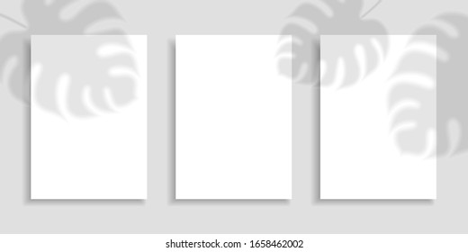 Hojas de palma de efecto superpuesto en la sombra. Coloque hojas de papel A4 con hojas de sombras transparentes. Montones de colección sobre fondo gris. Ilustración vectorial para tarjetas de diseño, folletos, portadas, banners, espacios en blanco.