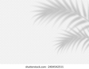 Shadow overlay effect for photo and mockup. Realistic soft blurred shadow of palm tree branches on transparent background. Vector illustration of wall with natural sunlight falling