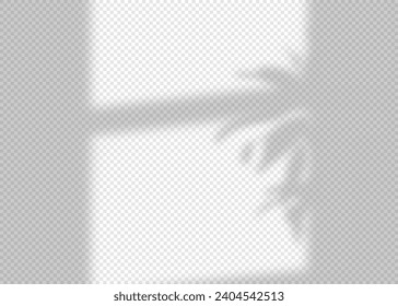 Shadow overlay effect for photo and mockup. Realistic soft blurred shadow of window frame with plant leaves and branches  on transparent background. Vector illustration of wall with natural sunlight