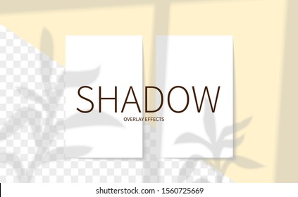 Shadow overlay effect. Pink Business card Mockup. Realistic vector illustration. Scene shadows from the window and plant.  