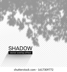 Shadow overlay effect. Soft light and grey shadows from plant branches and foliage. Mockup of shadow overlay effect and natural lightning. Vector illustration. Isolated on transparent background.