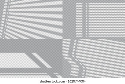 Shadow overlay effect. Transparent light and shadows from windows and jalousie. Use for mockup. Vector image.