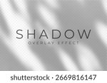 Shadow overlay effect. Transparent soft light and shadows from plant branches, leaves and foliage. Mockup of abstract transparent shadow overlay effect and natural lightning scene. Vector