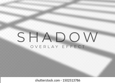 Shadow overlay effect. Transparent soft light and shadows from windows and jalouse. Mockup of transparent shadow overlay effect and natural lightning. Vector