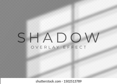 Shadow overlay effect. Transparent soft light and shadows from windows and jalouse. Mockup of transparent shadow overlay effect and natural lightning. Vector