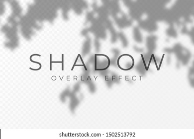 Shadow overlay effect. Transparent soft light and shadows from plant branches, leaves and foliage. Mockup of transparent shadow overlay effect and natural lightning. Vector - Shutterstock ID 1502513792