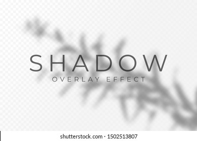 Shadow overlay effect. Transparent soft light and shadows from plant branches, leaves and foliage. Mockup of transparent shadow overlay effect and natural lightning. Vector