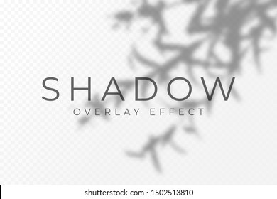 Shadow overlay effect. Transparent soft light and shadows from plant branches, leaves and foliage. Mockup of transparent shadow overlay effect and natural lightning. Vector