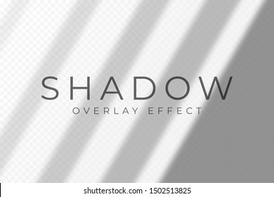 Shadow overlay effect. Transparent soft light and shadows from windows and jalouse. Mockup of transparent shadow overlay effect and natural lightning. Vector