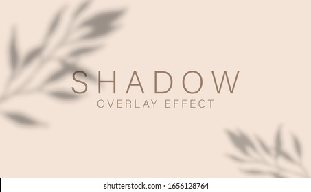 Shadow overlay effect  Transparent soft light   shadows from branches  plant  foliage   leaves  Mockup transparent leaf shadow overlay effect   natural lightning  Vector mock up gradient mesh