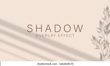 Shadow overlay effect. Transparent soft light and shadows from branches, plant, foliage and leaves. Mockup of transparent leaf shadow overlay effect and natural lightning. Vector mock up gradient mesh