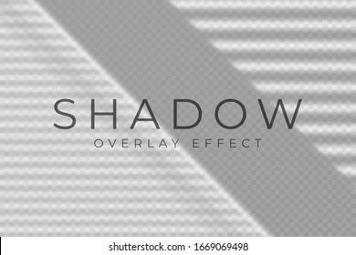 Shadow overlay effect. Transparent soft light and shadows from windows and jalousie. Mockup of transparent shadow overlay effect and natural lightning. Vector