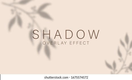 Shadow overlay effect. Transparent soft light and shadows from branches, plant, foliage and leaves. Mockup of transparent leaf shadow overlay effect and natural lightning. Vector mock up gradient mesh - Shutterstock ID 1675574572