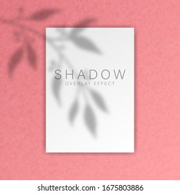 Shadow overlay effect. Transparent soft light and shadows from branches, plant, foliage and leaves. Mockup of transparent leaf shadow overlay effect and natural lightning. Vector mock up gradient mesh