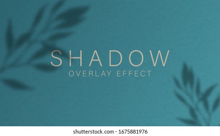 Shadow overlay effect  Transparent soft light   shadows from branches  plant  foliage   leaves  Mockup transparent leaf shadow overlay effect   natural lightning  Vector mock up gradient mesh