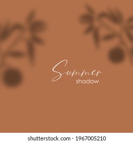 Shadow overlay effect. Transparent soft light and shadows from plant branches, leaves and foliage. Mockup of transparent shadow overlay effect and natural lightning