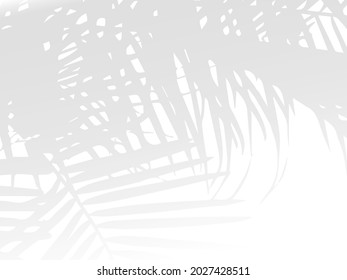 Shadow Overlay Effect. Transparent Soft Light and Shadows from Plant Leaves. Modern Flat Vector Illustartion. Mockup of Transparent Leaf Shadow Overlay Effect. Vector Gradient Template.