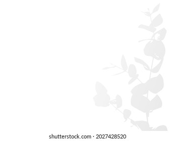 Shadow Overlay Effect. Transparent Soft Light and Shadows from Plant Leaves. Modern Flat Vector Illustartion. Mockup of Transparent Leaf Shadow Overlay Effect. Vector Gradient Template.