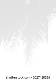 Shadow Overlay Effect. Transparent Soft Light and Shadows from Plant Leaves. Modern Flat Vector Illustartion. Mockup of Transparent Leaf Shadow Overlay Effect. Vector Gradient Template.