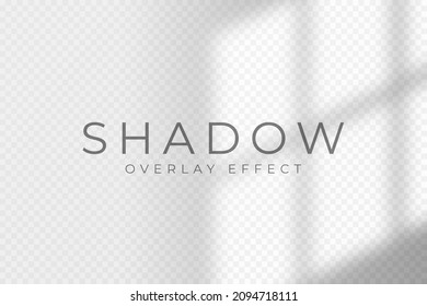 Shadow overlay effect. Transparent soft light and shadow from window frame and blinds. Mockup of transparent shadow overlay effect and natural lighting. Vector