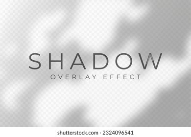 Shadow overlay effect. Transparent soft light and shadows from plant branches, leaves and foliage. Mockup of abstract transparent shadow overlay effect and natural lightning scene. Vector