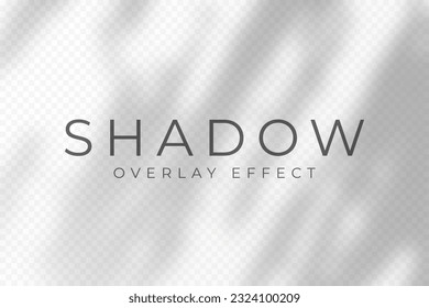 Shadow overlay effect. Transparent soft light and shadows from plant branches, leaves and foliage. Mockup of abstract transparent shadow overlay effect and natural lightning scene. Vector