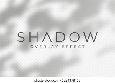 Shadow overlay effect. Transparent soft light and shadows from plant branches, leaves and foliage. Mockup of abstract transparent shadow overlay effect and natural lightning scene. Vector