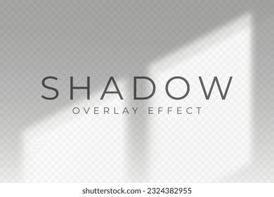 Shadow overlay effect. Transparent soft light and shadow from window frame, natural lighting scene. Mockup of abstract transparent shadow overlay effect and natural lightning. Vector