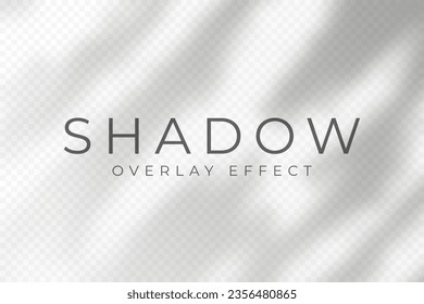 Shadow overlay effect. Transparent soft light and shadows from plant branches, leaves and foliage. Mockup of abstract transparent shadow overlay effect and natural lightning scene. Vector