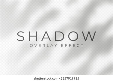 Shadow overlay effect. Transparent soft light and shadows from plant branches, leaves and foliage. Mockup of abstract transparent shadow overlay effect and natural lightning scene. Vector