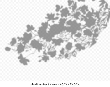 Shadow overlay effect. Transparent soft light and shadows from plant branches, leaves and foliage. Mockup of transparent shadow overlay effect and natural lightning