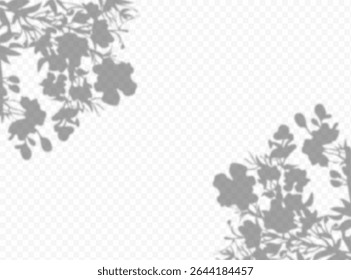 Shadow overlay effect. Transparent soft light and shadows from plant branches, leaves and foliage. Mockup of transparent shadow overlay effect and natural lightning