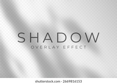 Shadow overlay effect. Transparent soft light and shadows from plant branches, leaves and foliage. Mockup of abstract transparent shadow overlay effect and natural lightning scene. Vector