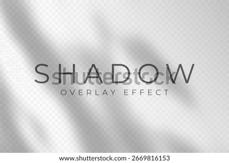 Shadow overlay effect. Transparent soft light and shadows from plant branches, leaves and foliage. Mockup of abstract transparent shadow overlay effect and natural lightning scene. Vector