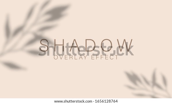 Shadow overlay effect. Transparent soft light and\
shadows from branches, plant, foliage and leaves. Mockup of\
transparent leaf shadow overlay effect and natural lightning.\
Vector mock up gradient\
mesh