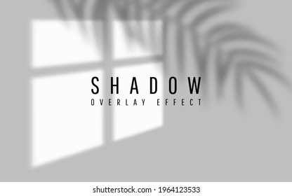 Shadow overlay effect. Transparent shadow of window. Vector illustration.