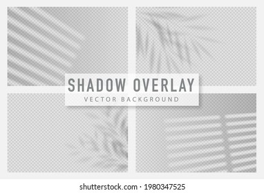 Shadow overlay effect. Transparent shadow of window. Vector illustration.
