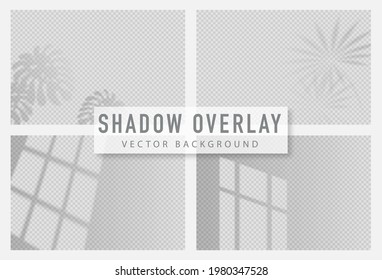 Shadow overlay effect. Transparent shadow of window. Vector illustration.

