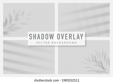 Shadow overlay effect. Transparent shadow of window. Vector illustration.
