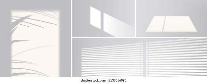 Shadow overlay effect from window, blinds and plant leaves on white wall. Vector realistic mockup of room with sunlight and gray shades of palm tree, window frame and louvers