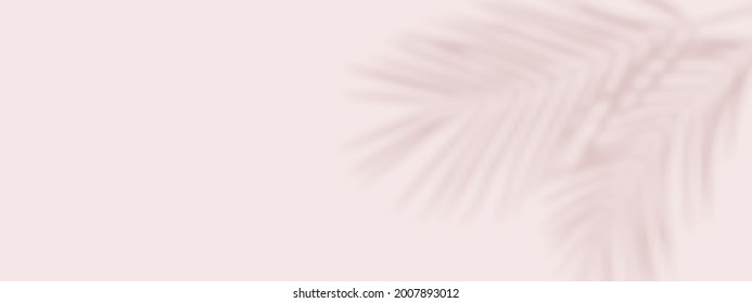 Shadow overlay effects with palm leaves in the corner. Floral background with leaf shadow. Vector illustration